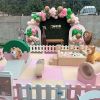 safari them soft play party rental package